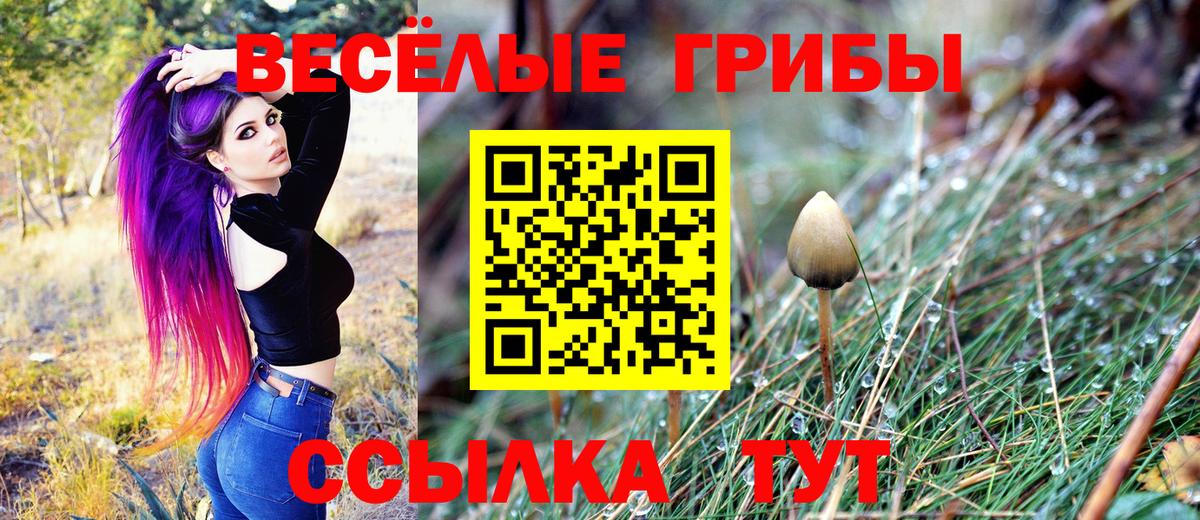 Галлюциногенные грибы ЛСД Апшеронск